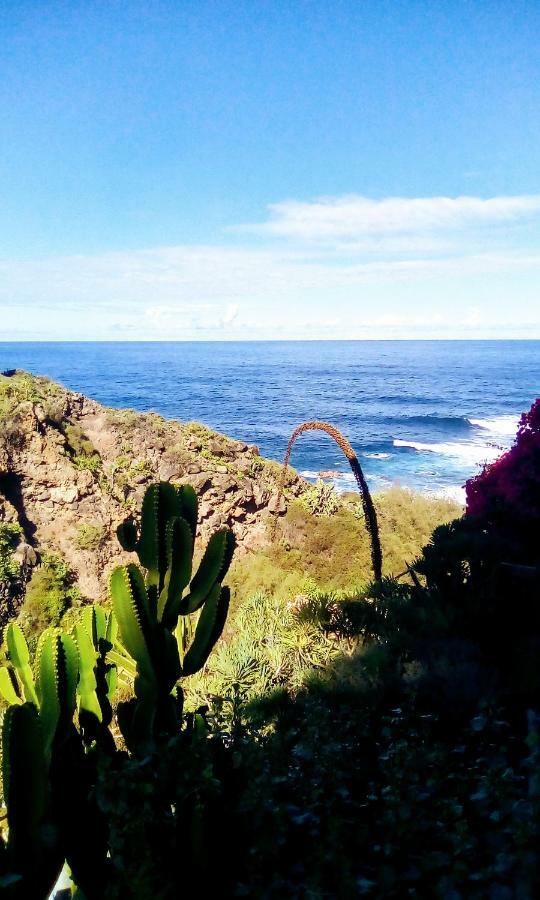 La Pardela Oceanfront Lejlighed Los Realejos Eksteriør billede